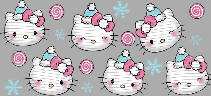 16oz Sanrio-SO-941